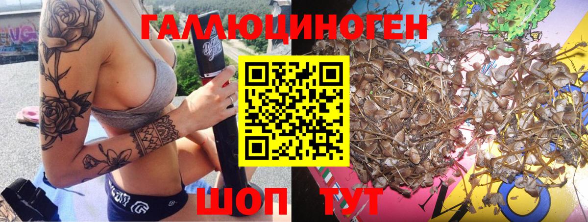 Псилоцибиновые грибы мухоморы Урай